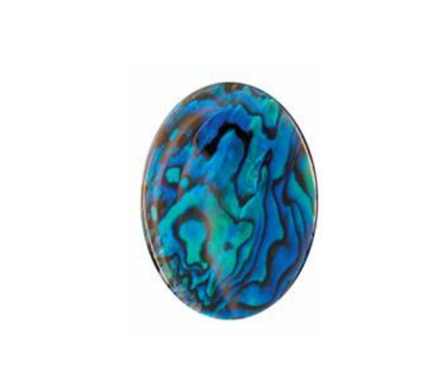 Paua Shell Blue - 10x14 Oval