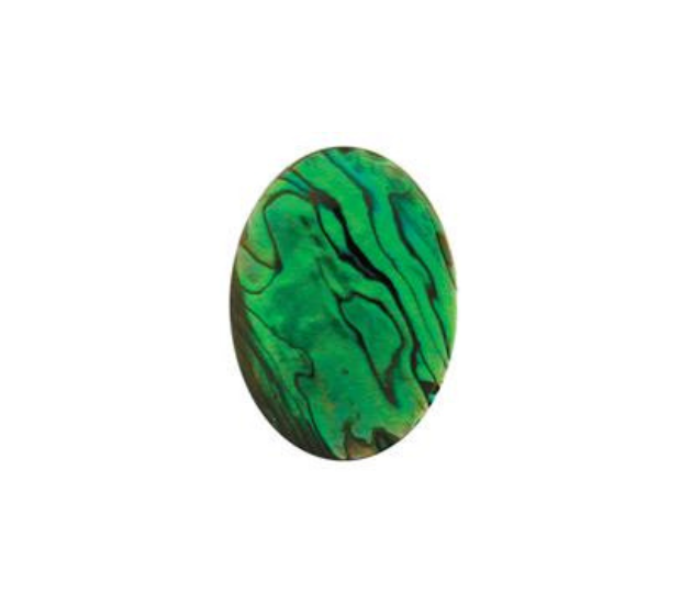 Paua Shell  Green - 10x14  Oval