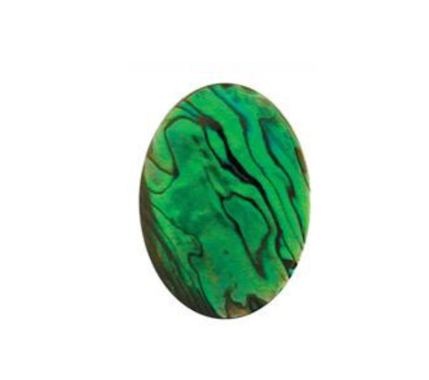 Paua Shell Green - 12mm Round