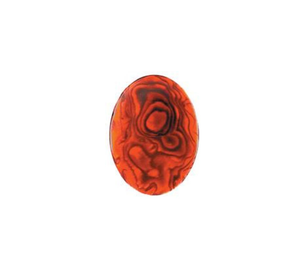 Paua Shell Red - 4x6 Oval