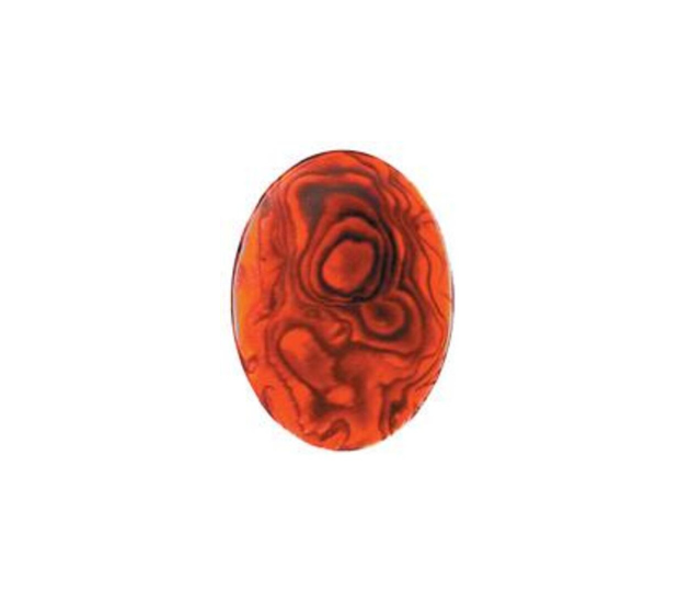 Paua Shell Red - 5x7 Oval