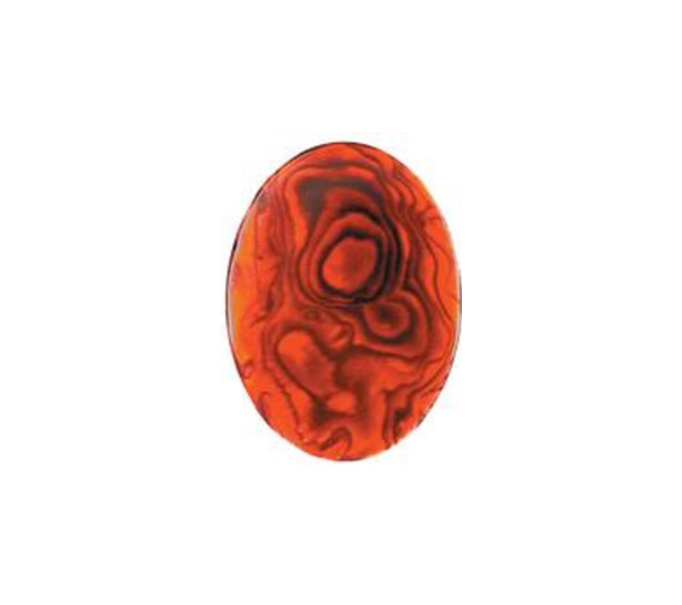 Paua Shell Red - 10x12 Oval