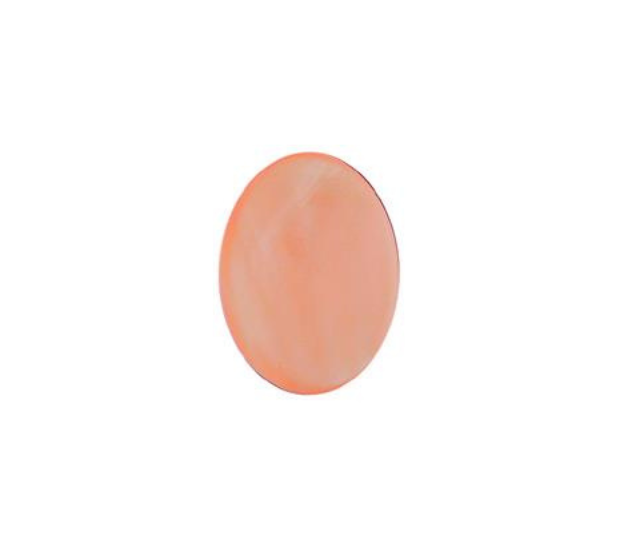 Pink Mussel  Shell - 6x8 Oval