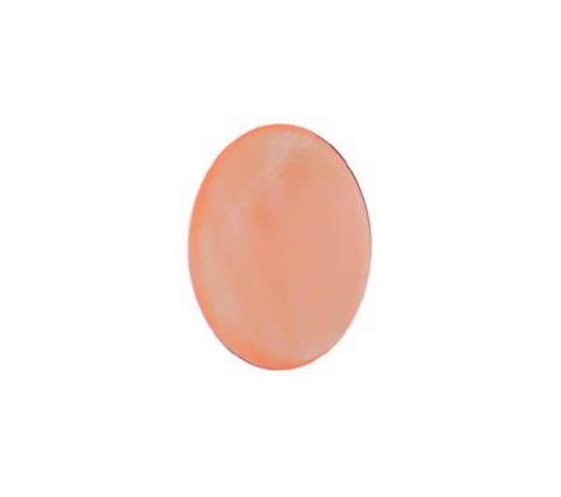 Pink Mussel  Shell - 7x9 Oval