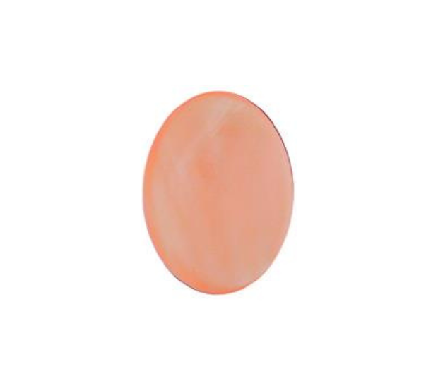 Pink Mussel  Shell - 10x14 Oval