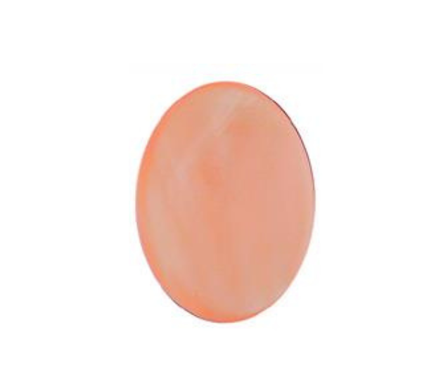 Pink Mussel  Shell - 12x16 Oval