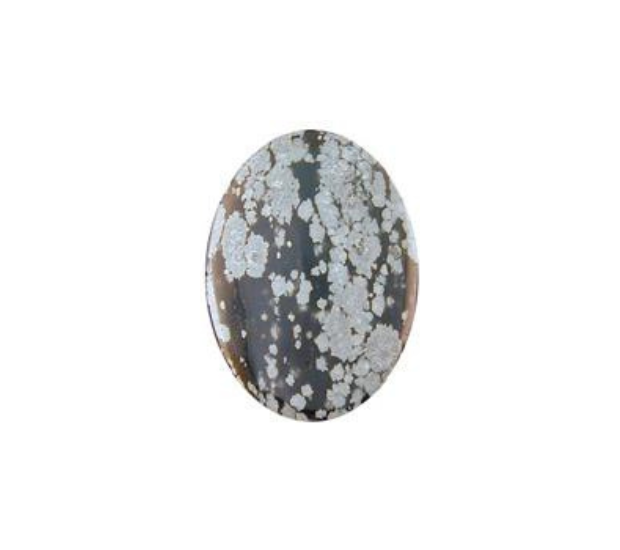 Snowflake  Obsidian - 10x12  Oval