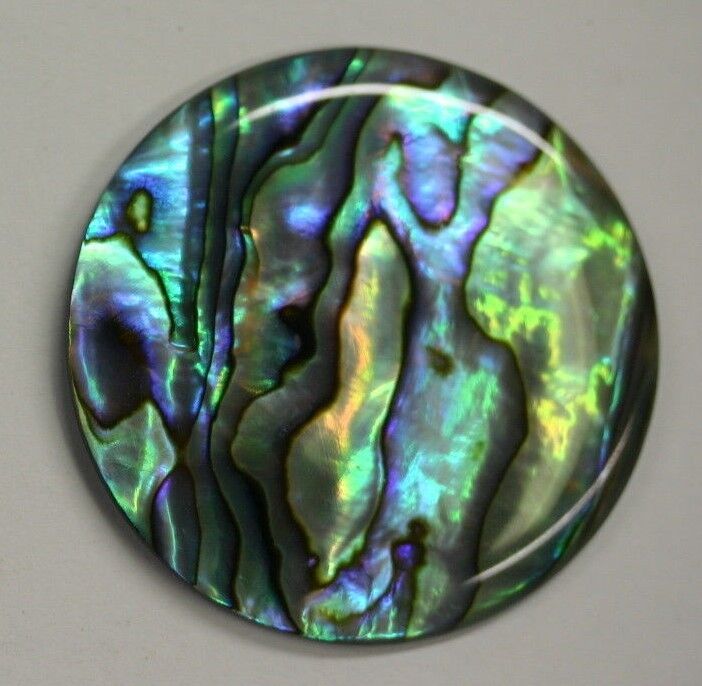 Natural Abalone Paua Shell Round Cabochon - 16mm