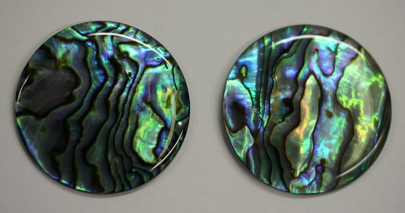 Natural Abalone Paua Round Cabochon - 8mm