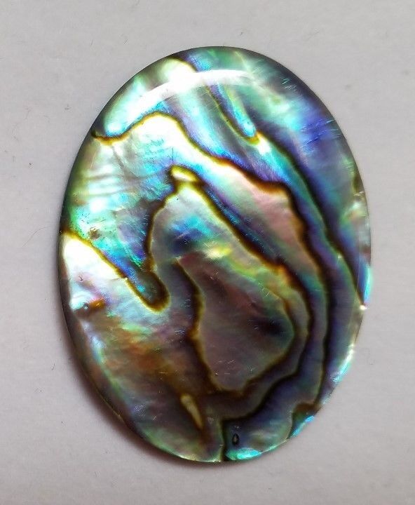 Natural Paua Shell Abalone Oval Cabochon  - 30x40