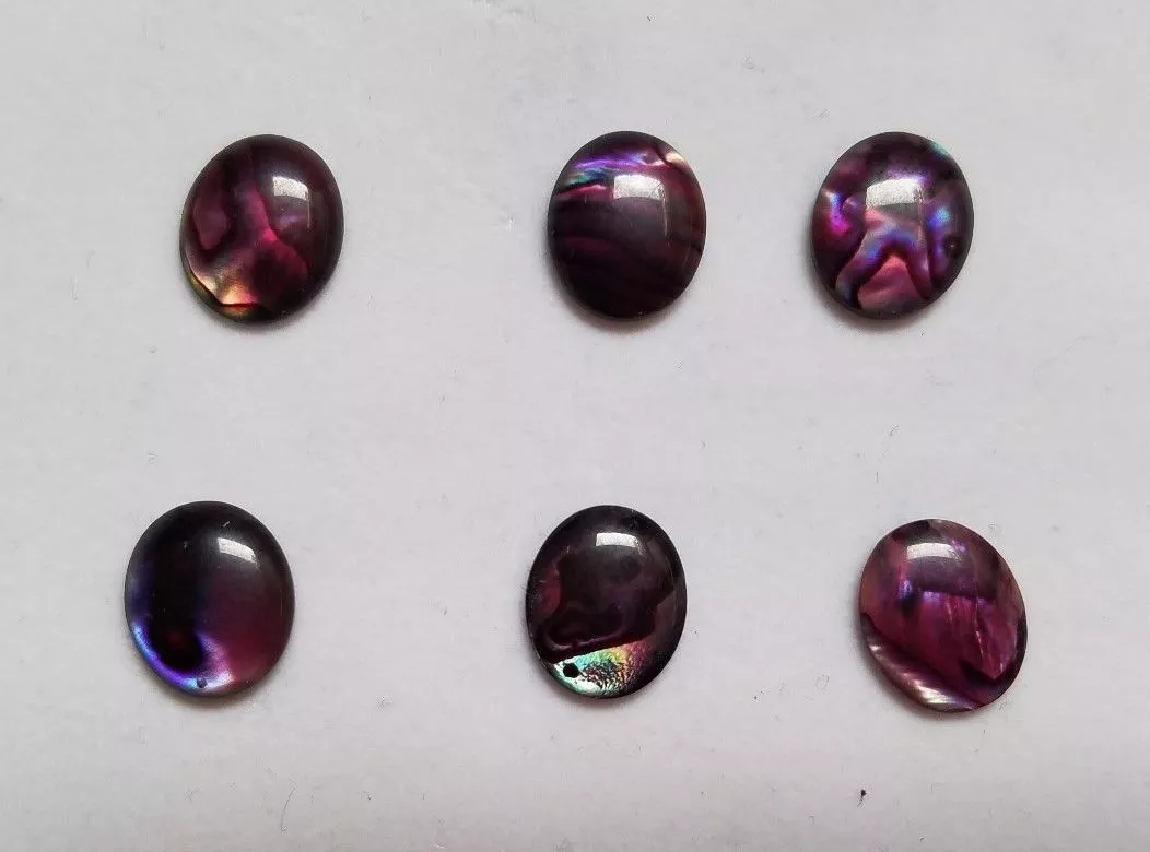 6pcs Purple Paua Shell Oval Cabochon High Quality 12x16  Cab