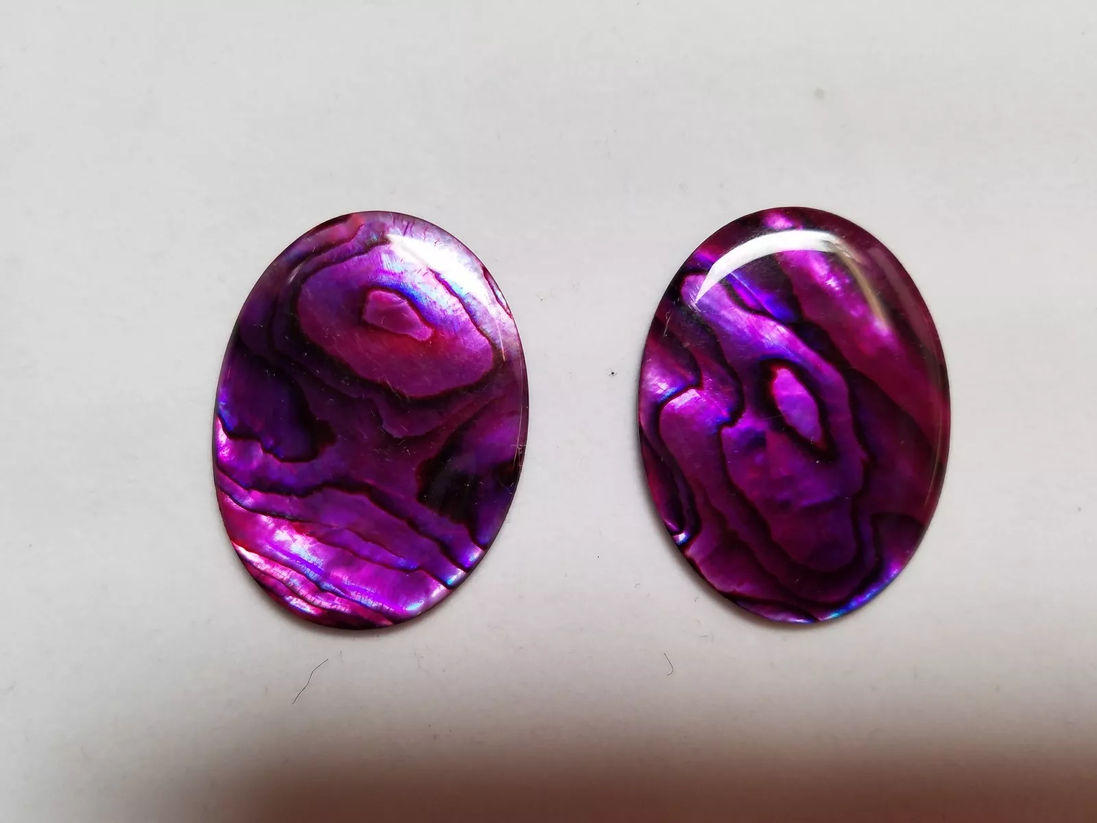 6pcs Purple Paua Shell Oval Cabochon High Quality 12x16  Cab
