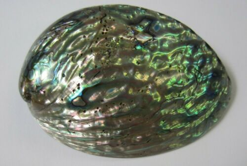 4.50" to 5" Abalone Shell Smudging Bowl Seashell Healing Decoration