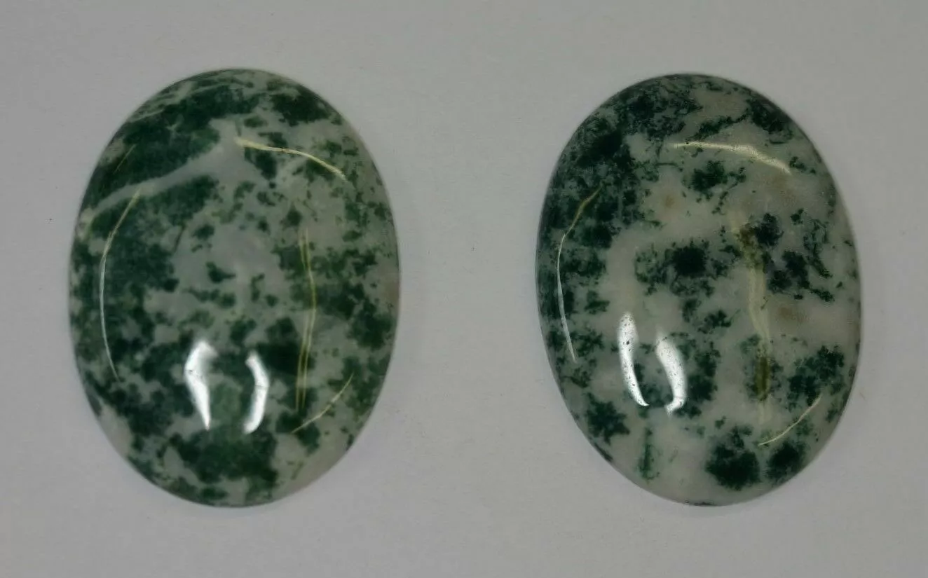 22x30mm Natural Tree Agate Calibrated Oval Cabochon Gemstones Gems Cab Jewelry