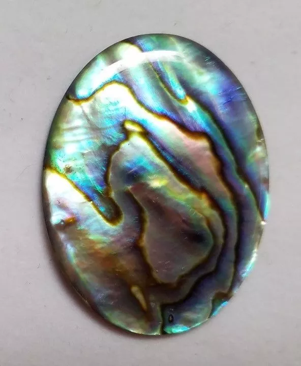 Natural Paua Shell Abalone Oval Cabochon  22x30  Cabs Jewelry Cabs