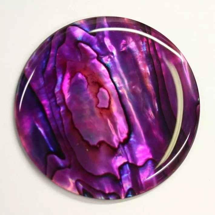 Purple Paua Shell Round High Quality Cabochon Calibrated 16mm