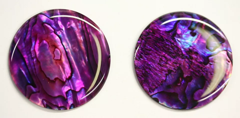 Purple Paua Shell Round High Quality Cabochon Calibrated 16mm