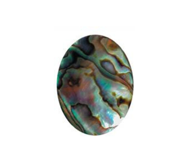 Paua Shell Natural - 9x18 Long Oval