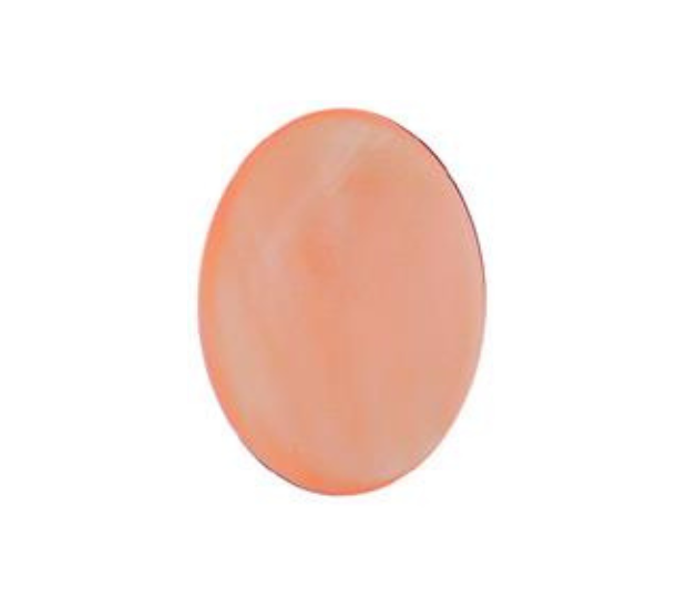 Pink Mussel  Shell - 22x30 Oval