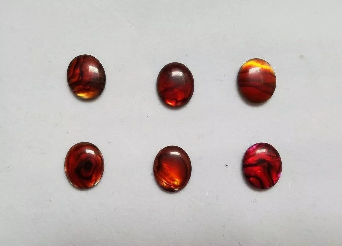 6pcs 12x16mm Natural Paua Shell Red Calibrated Oval Cabochon Gemstones Jewelry